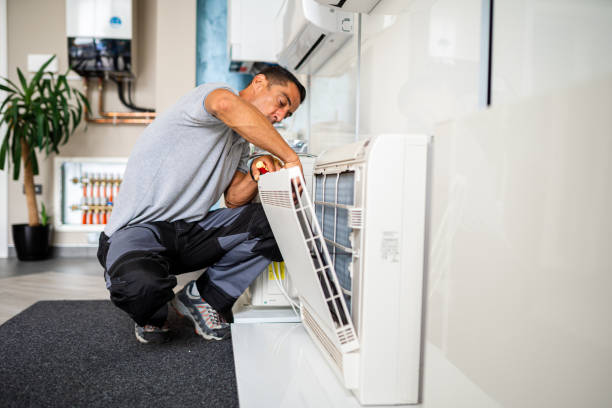 Best Air Vent Cleaning Services  in Snead, AL