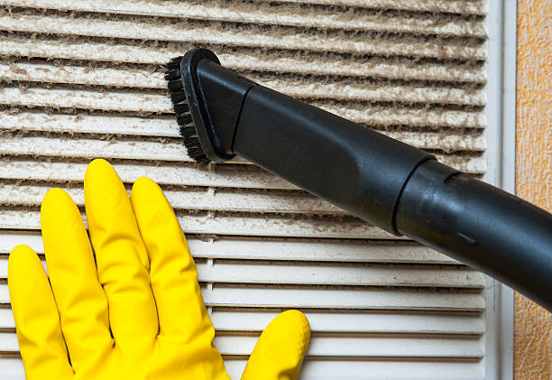 Best HVAC System Cleaning  in Snead, AL